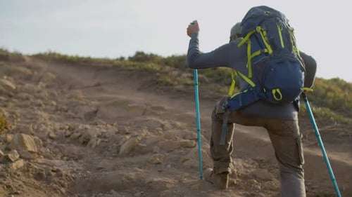 Mature Man Climbing Mountain with Trekking Sticks on Summer Day