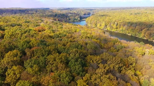 Aerial view of seasonal outdoor trees. Autumn natural sceneries landscape.