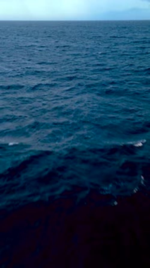 Vertical Horizon Seascape Flying Into the Wind