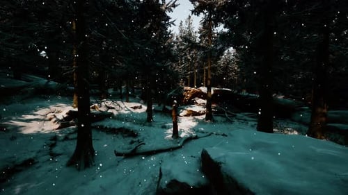 A Serene Winter Wonderland with a Dense Forest Blanketed in Snow