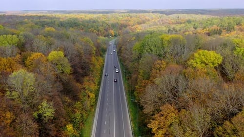 Road in colorful woodland. Autumn landscape of a beautiful forest.