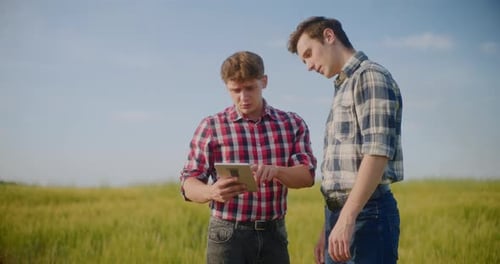 Two Male Farmers Discussing In Field Agriculture Crops Business Talking