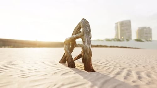 Piece of an Old Root is Lying in the Sand of the Beach