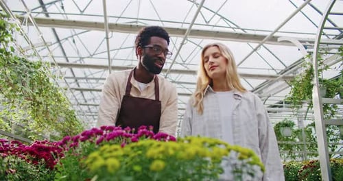 Greenhouse Florist Wearing Apron and Glasses Client Walking Together with Store Worker While