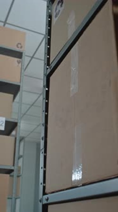 Installation de tri : stockage de la boutique en ligne avec commandes de commerce électronique dans des boîtes en carton