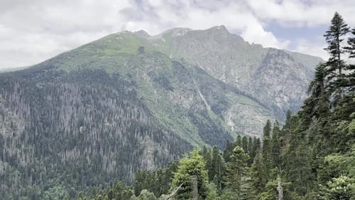 Atemberaubende Berglandschaft mit üppigen grünen Bäumen und Wolken Generative KI