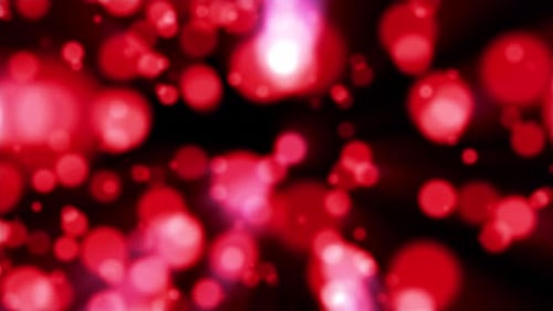 Red and Pink Bokeh Light Particles Abstract Background