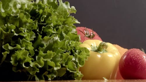 Fresh Tomatoes, Peppers, and Lettuce Still Life