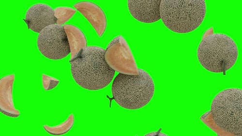 Muskmelons Falling On Green Screen With Alpha Matte