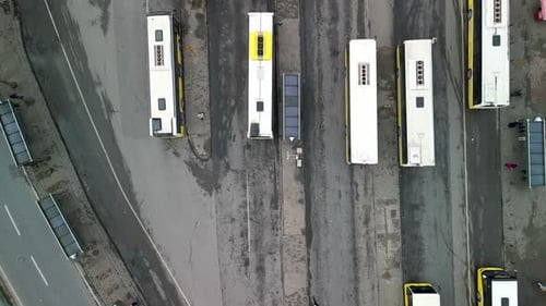 Bus terminal, buses stationary at the big bus station