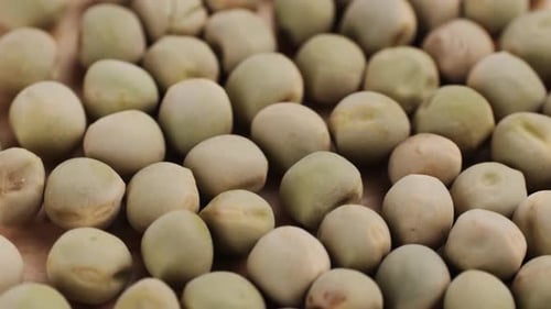 Dry Seeds of Peas for Home Vegetable Garden Etc Assorted Mix of Varieties Hence Variation Isolated