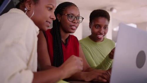 Young Adults Working Together in an Office