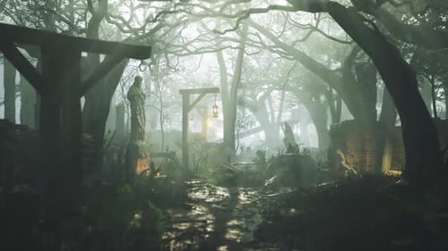 Mysterious Fog Covered Pathway in an Ancient Forest with Lanterns at Dusk