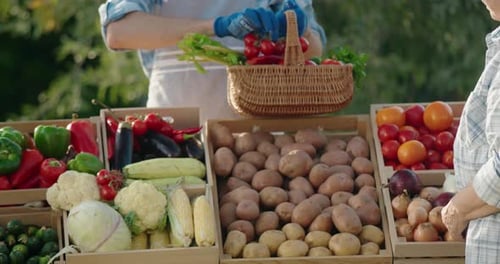 Fresh Produce at a Rural Farmer's Market