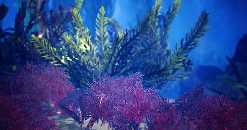Vibrant Underwater Seaweed and Coral Animation