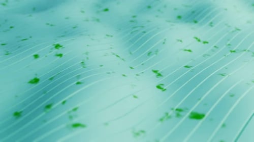 Bright green waves abstract motion background. Seamless looping animation