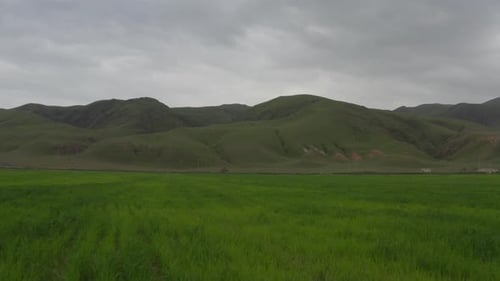 Green Meadows At The Foot Of The Mountains