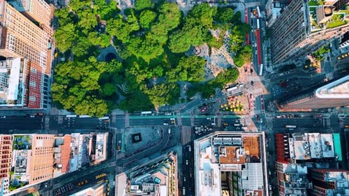 Greenery of Madison Park from top view. Drone footage over the Fifth Avenue in New York, USA.