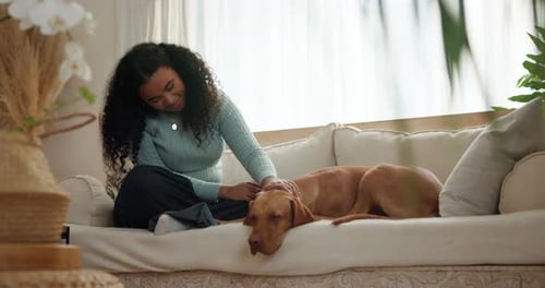Happy, woman and stroke sleeping dog on sofa for bonding together, pet adoption and connection