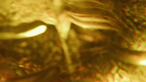 Abstract Golden Fluid with Chromatic Aberration Effect