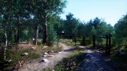 Dirt Road Through Forested Countryside at Sunset