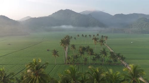 Morning atmosphere in Tempos hamlet