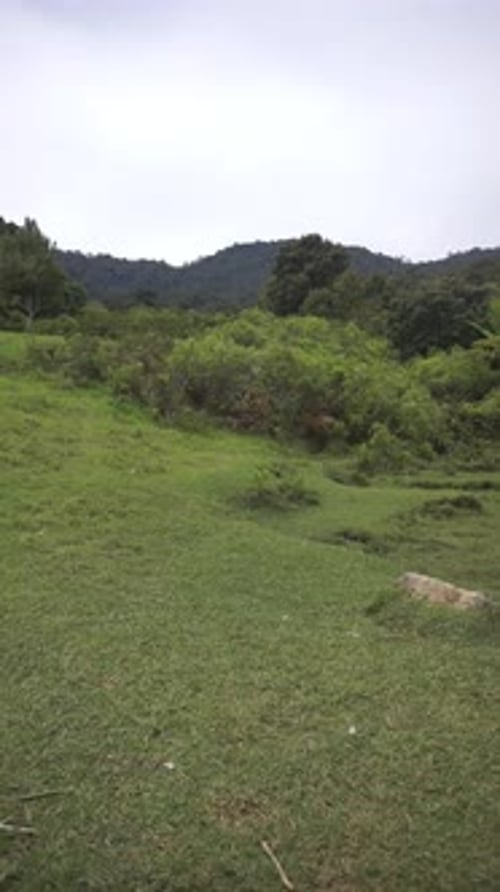 beautiful vertical video portrait natural scenery mountains natural panorama hills,