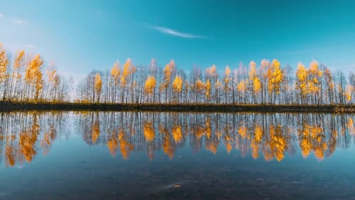 Autumn Forest Woods Lake Coast