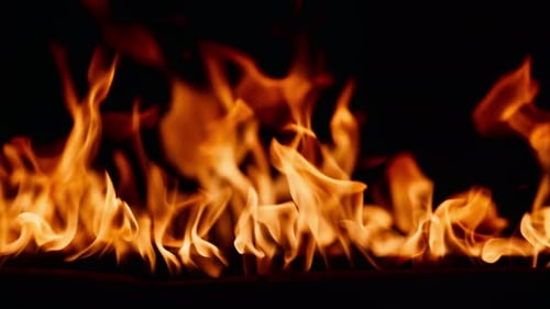 Fire Burning Flame Tongues of Orange Flame Bright Burning Flames on a Black Background Fire in Slow