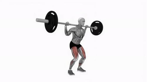 Barbell Quarter Squat fitness exercise workout animation video male muscle highlight 4K 60 fps