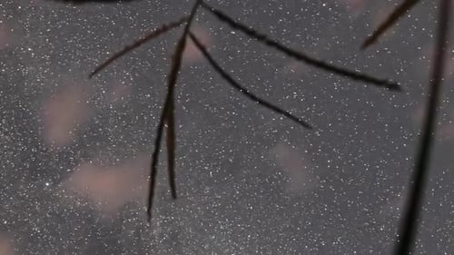 Sparkling Starfield with Abstract Forms at Night