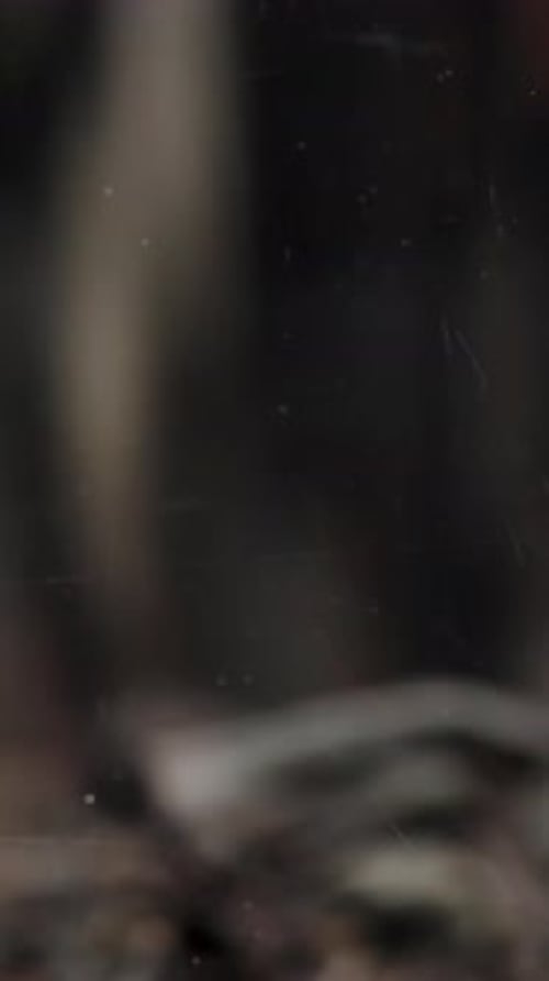 Vertical video. Dry Black Tea Leaves Cascading into a Jar, Enveloping the Entire Frame, Slowed-Down