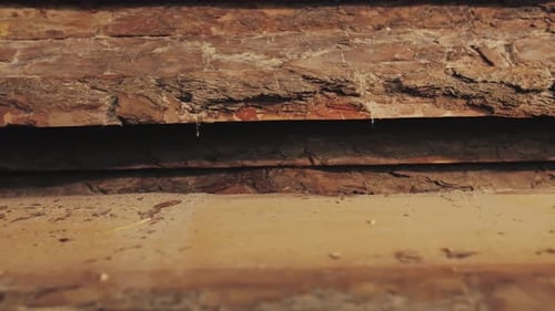 Wood Factory Stock and Lumber Board with Nature Business Export the Camera Moves Forward Slow Motion