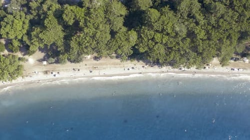 Drone Flies Over a Beach and Sea Bird Eye View