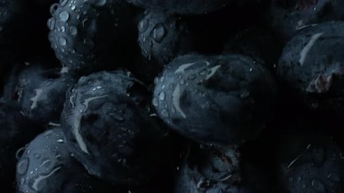 Abstract Organic Blueberries backgroundTop Slider viewAntioxidanthealthy Food
