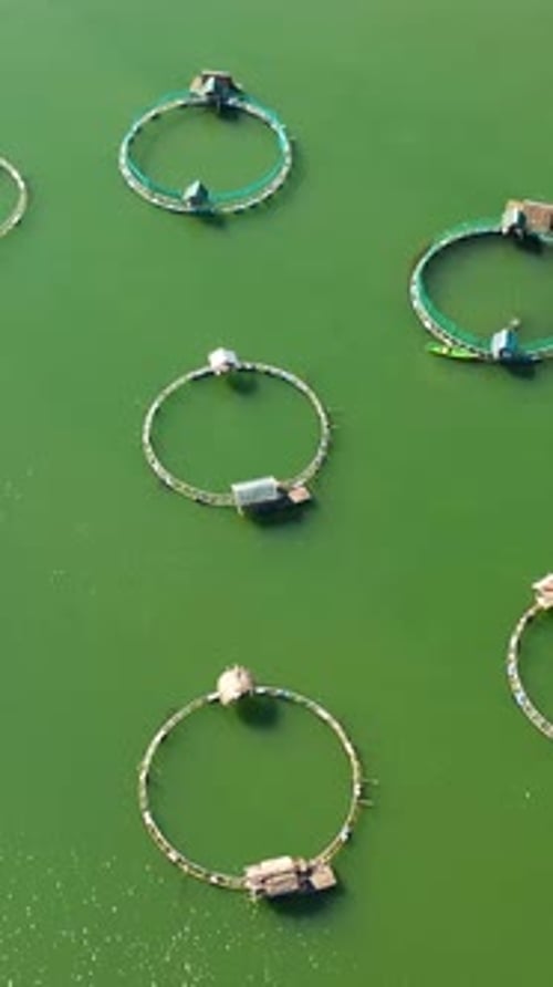Fish Farm with Cages Philippines