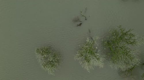 Flooded Landscape Seen From Above