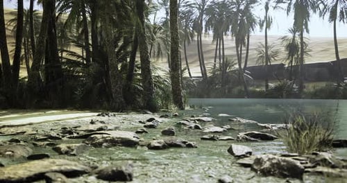 Lush Oasis with Palm Trees and Clear Water By Sandy Desert Landscape