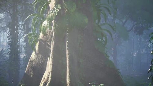 Majestic Tree Standing in Forest