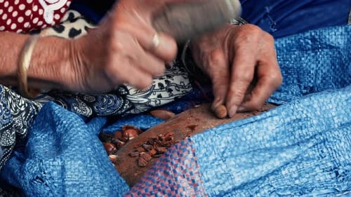 Close-Up of an Elderly Woman Cracking Nuts Traditionally with a Stone