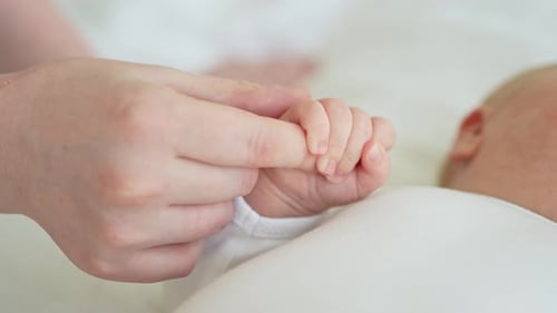 Sweet Infant Holding Finger, Newborn Love