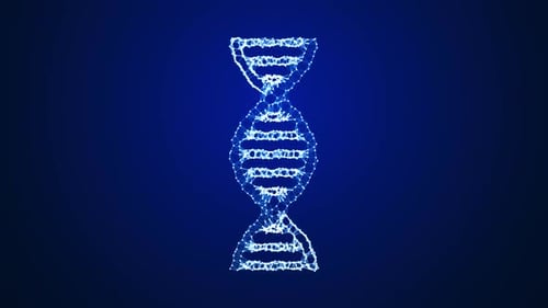 DNA Plexus Loop Blue
