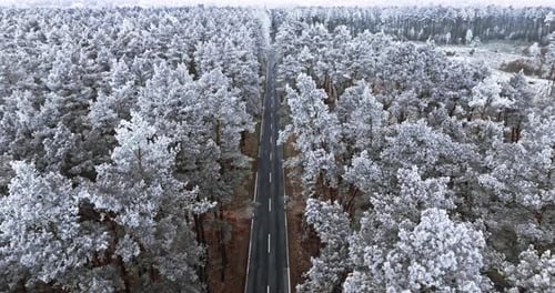 Winter asphalt road and frozen forest with rime, Poland.
