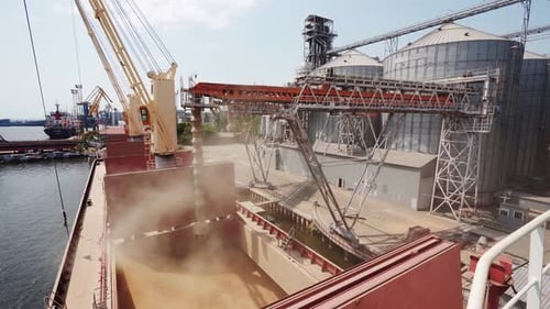 Grain Loading to Bulker Ship Cargo Container at Sea Grain Terminal in Seaport Wheat Shipment From