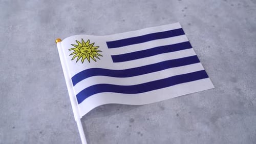 Flag of Uruguay Waving on Gray Background