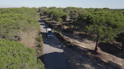 White van driving on a road with the natural beauty of the forest providing a perfect backdrop for t