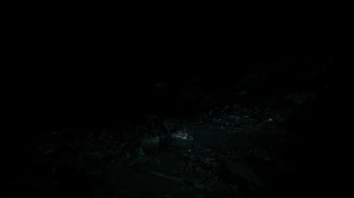 Erkundung eines dunklen Waldweges, der von einer einzigen Lichtquelle beleuchtet wird