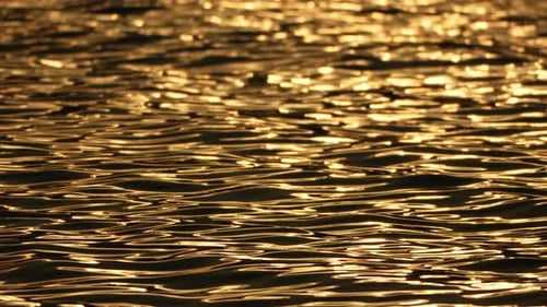 Blurred Golden Sea at Sunset with Shifting Focus and Bokeh Effect Sun Reflects and Sparkles on Waves