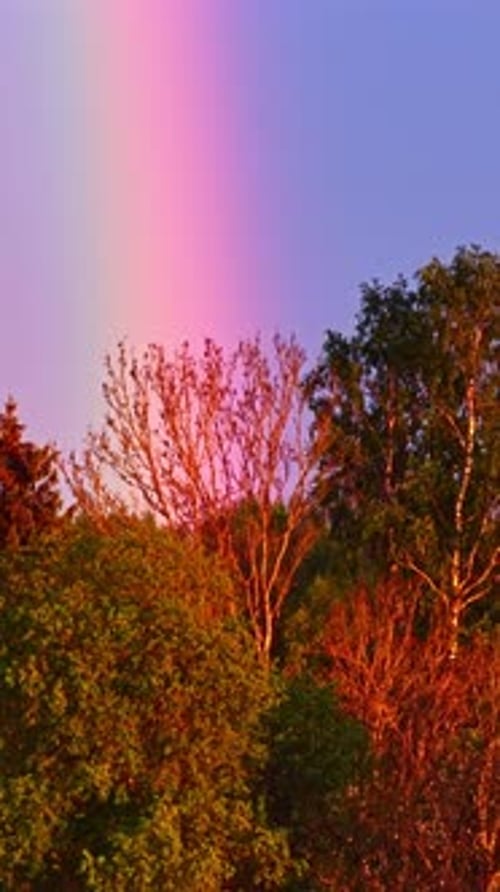 Arc-en-ciel coloré s'élevant haut dans le ciel calme du soir