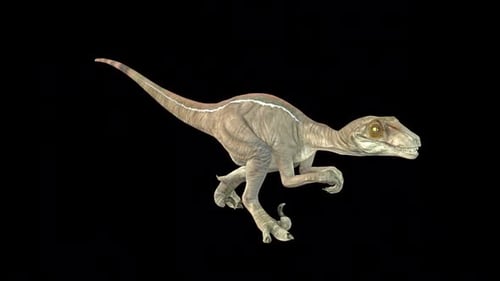 Velociraptor Walk Idle